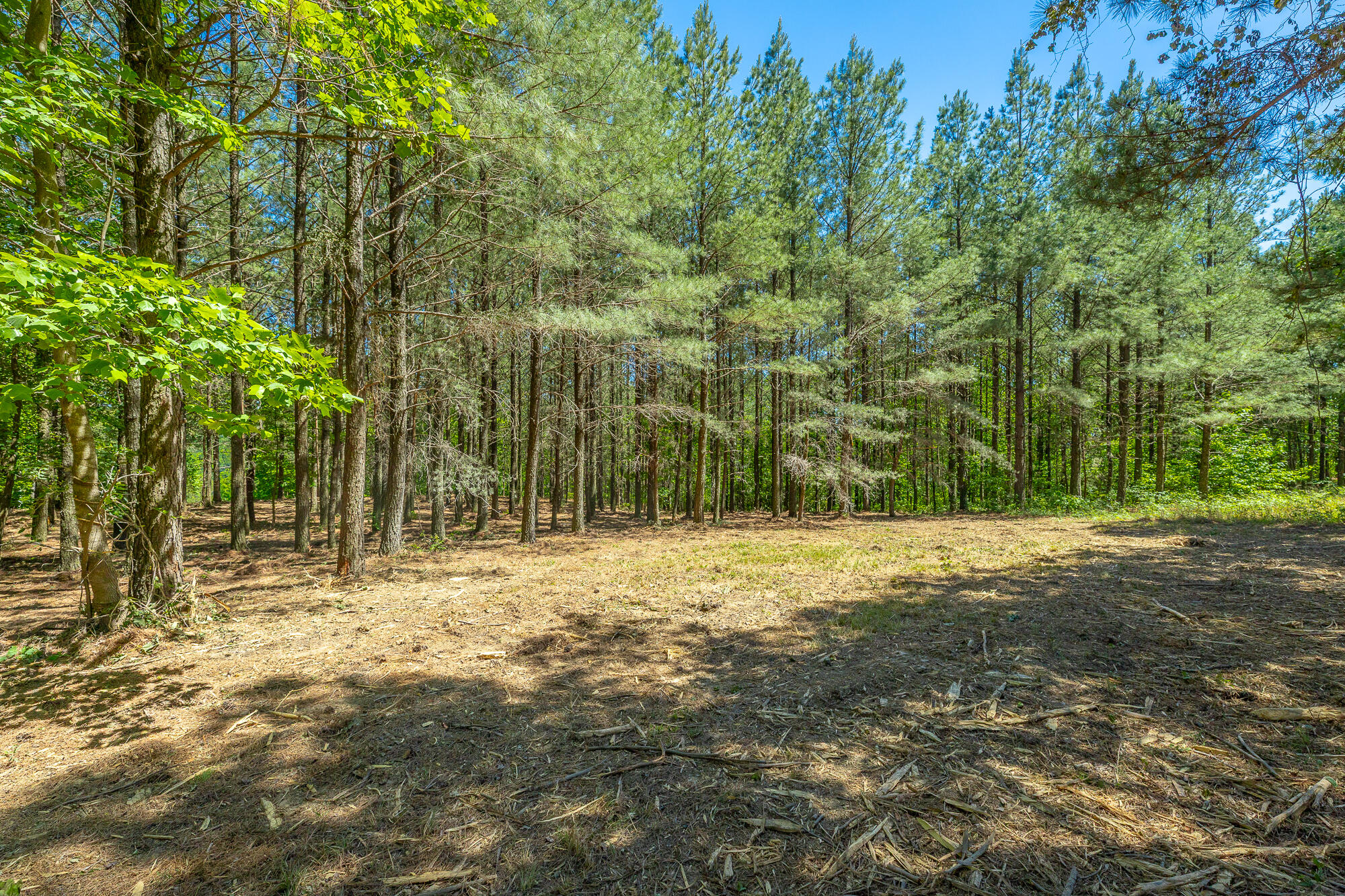 0 Split Rail Way, Unit 1349 Guild, TN 37340 - Photo 15 of 108 0 Split Rail Way - Lot 1349 HD-68