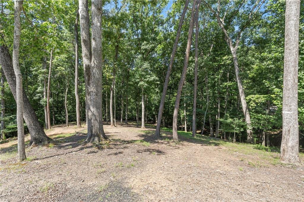 3394 Robinson Road Gainesville, GA 30506 - Photo 59 of 61