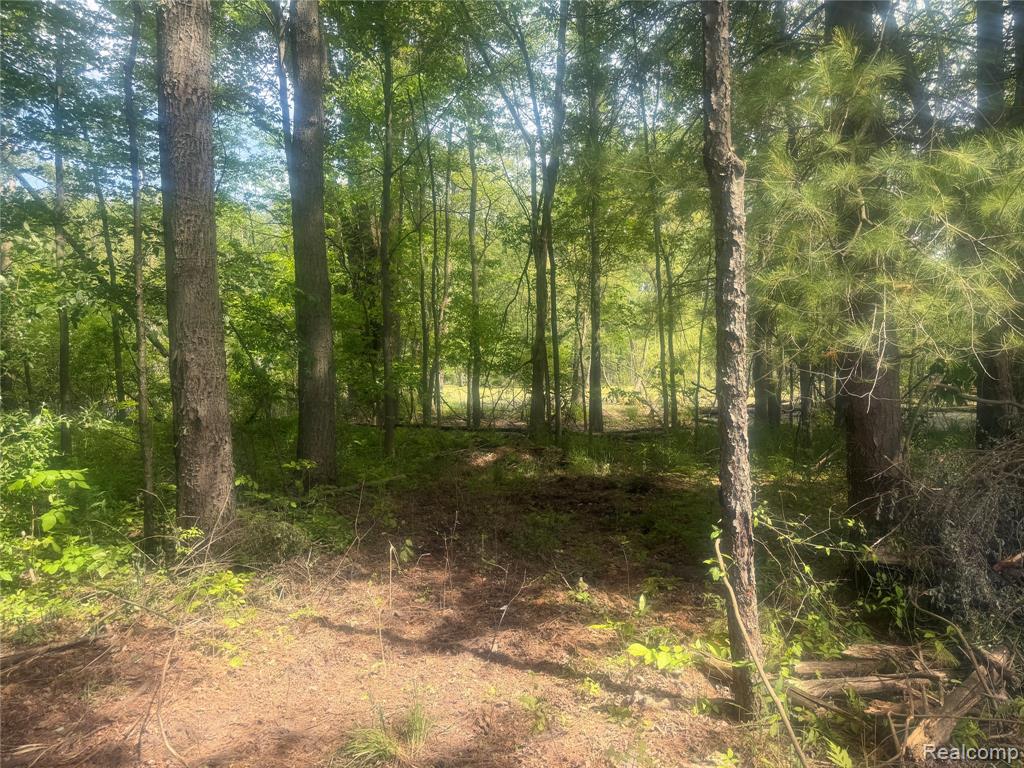 5716 Falkenbury Road North Branch, MI 48461 - Photo 16 of 51