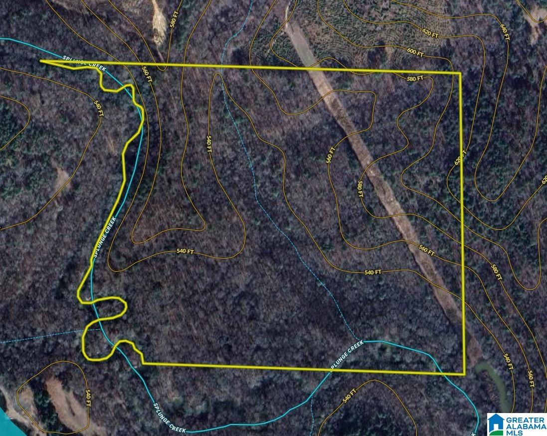 339 County Road Nauvoo, AL 35578 - Photo 56 of 57
