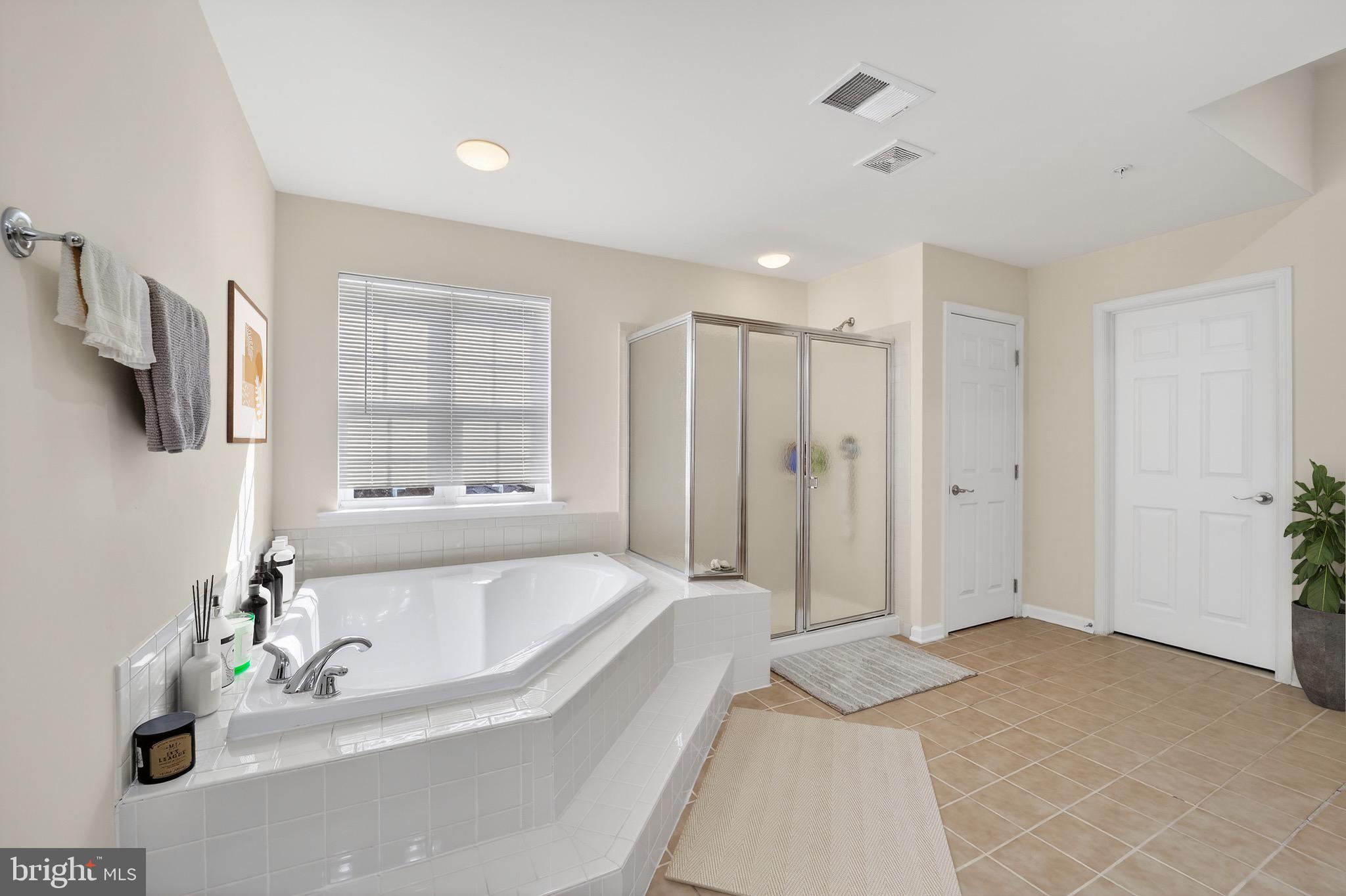 16101 Venice Road Aquasco, MD 20608 - Photo 39 of 60 a spacious bathroom with a tub shower and mirror