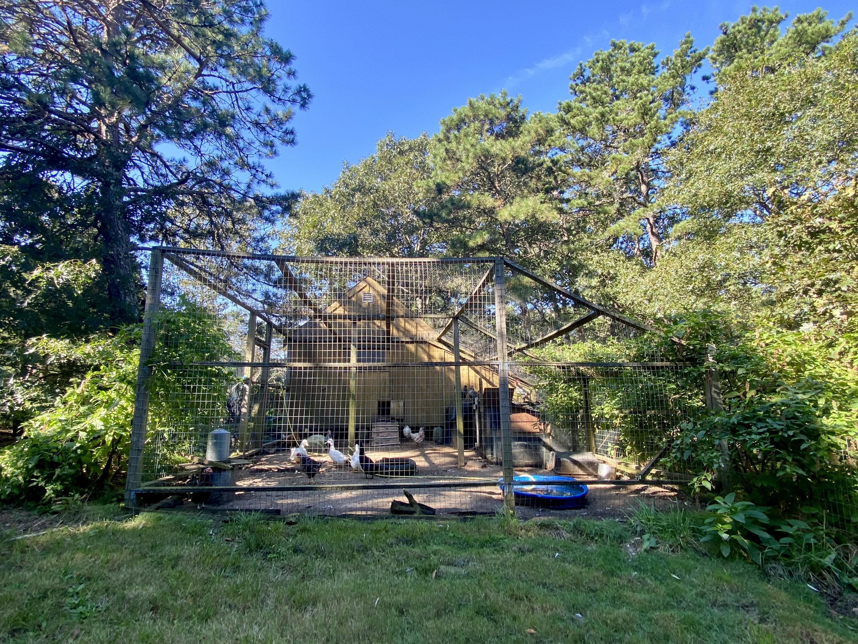 82 Spruce Road Harwich, MA 02645 - Photo 15 of 43 Chicken Coop
