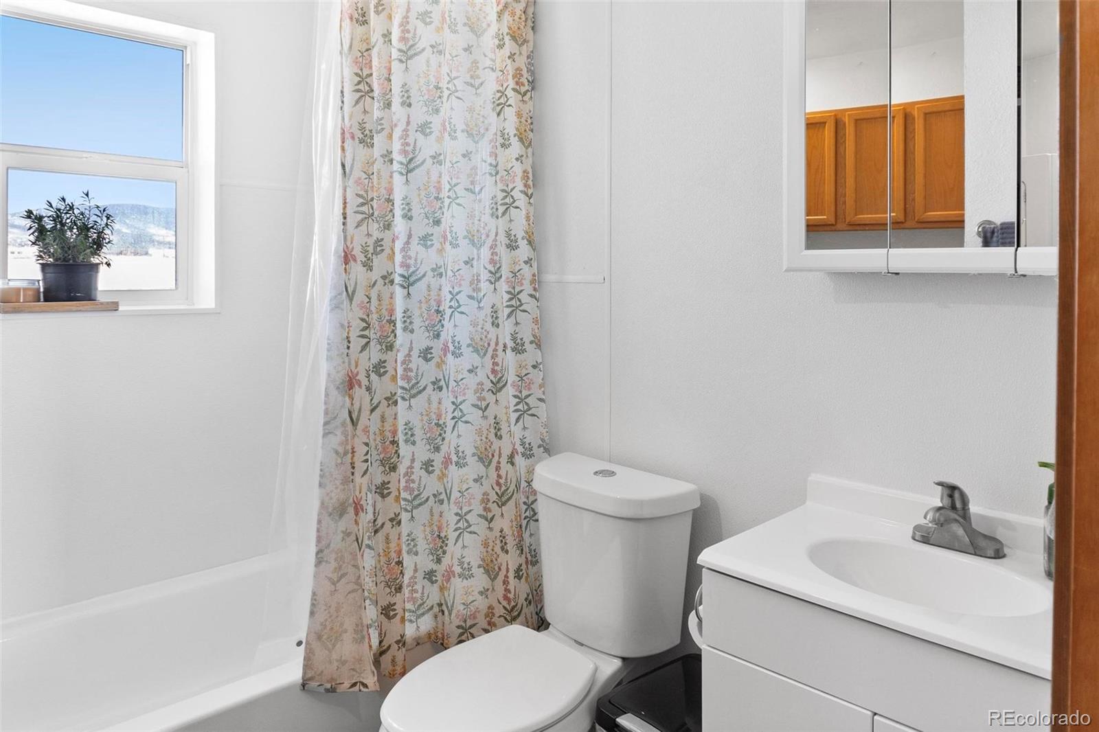 1785 Trout Road Fairplay, CO 80440 - Photo 14 of 37 Gallery Image 14