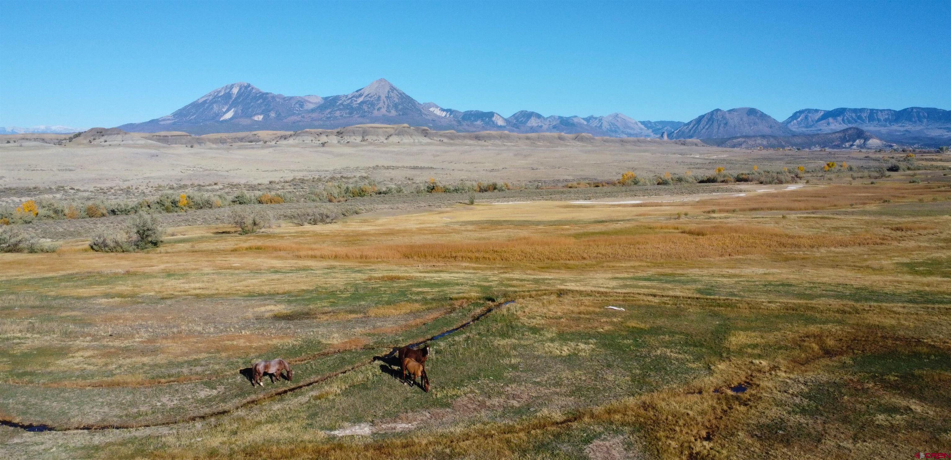 34607 F50 Road Hotchkiss, CO 81419 - Photo 2 of 35 a view of an ocean and a mountain