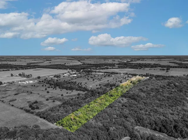 a view of a bunch of trees
