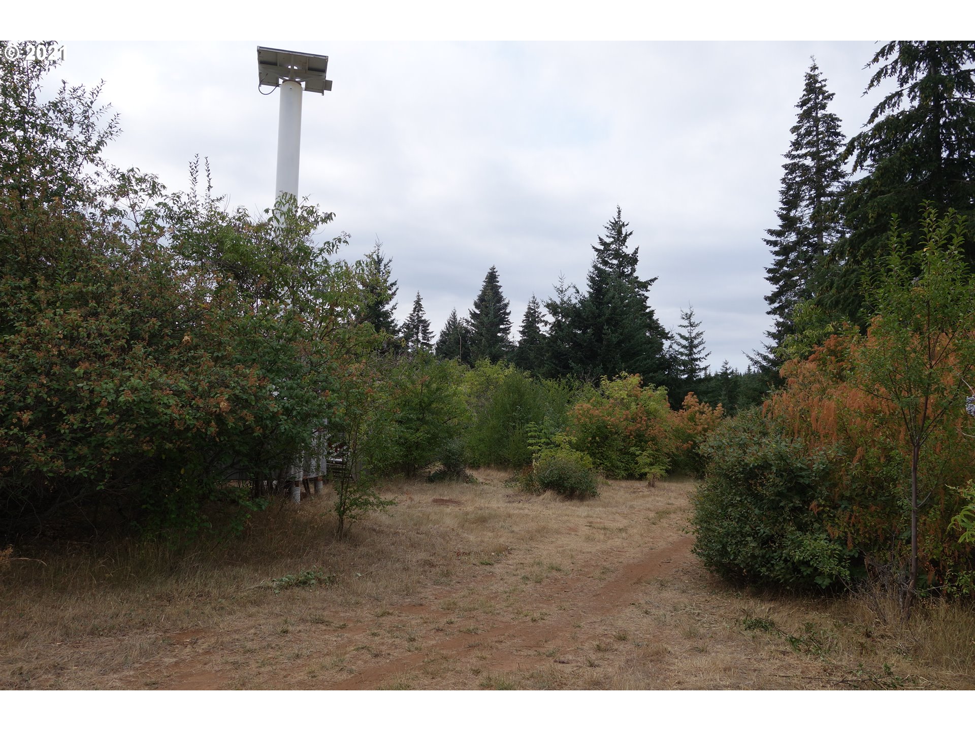 81 McVey Road White Salmon, WA 98672 - Photo 11 of 15 Gallery Image 11
