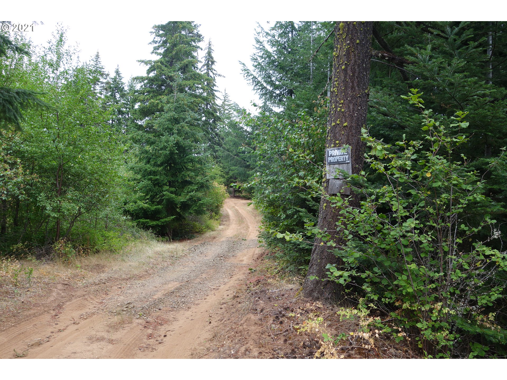 81 McVey Road White Salmon, WA 98672 - Photo 13 of 15 Gallery Image 13