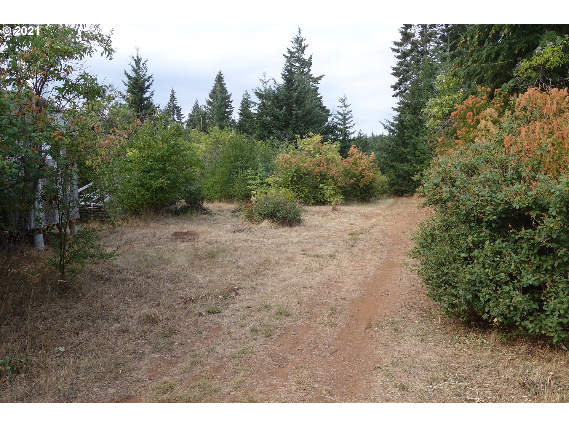 81 McVey Road White Salmon, WA 98672 - Photo 3 of 15 Gallery Image 3