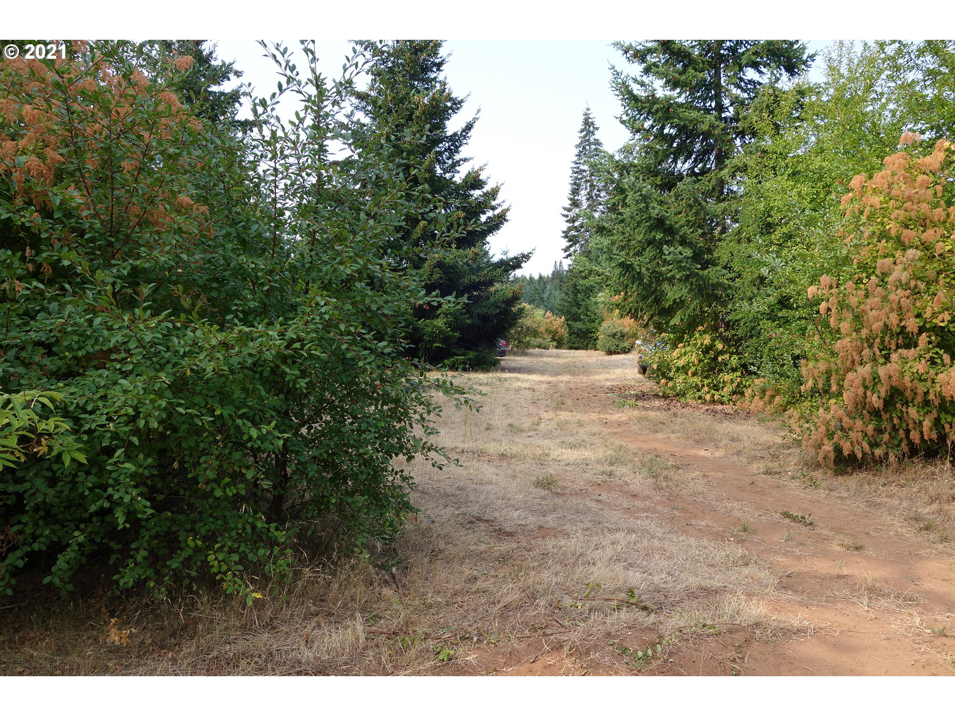 81 McVey Road White Salmon, WA 98672 - Photo 10 of 15 Gallery Image 10
