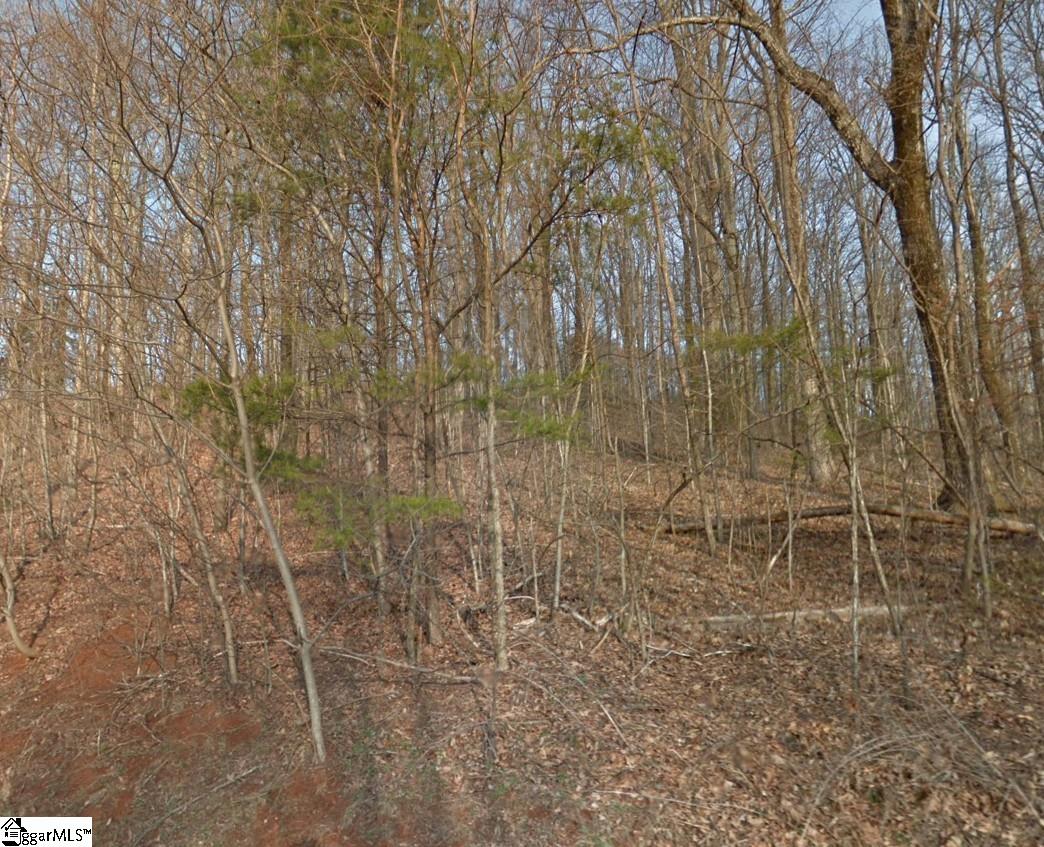 0 Stacked Rock Road Landrum, SC 29356 - Photo 2 of 2