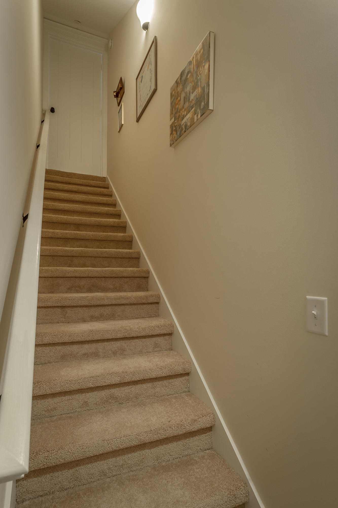 1007 Little Sorrel Road Hixson, TN 37343 - Photo 36 of 48 1007 Little Sorrel Drive-32
