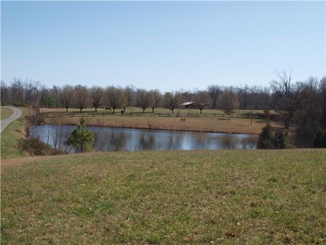 124 Martin Road Portland, TN 37148 - Photo 2 of 2 View from the back at the neighbor's pond and horses