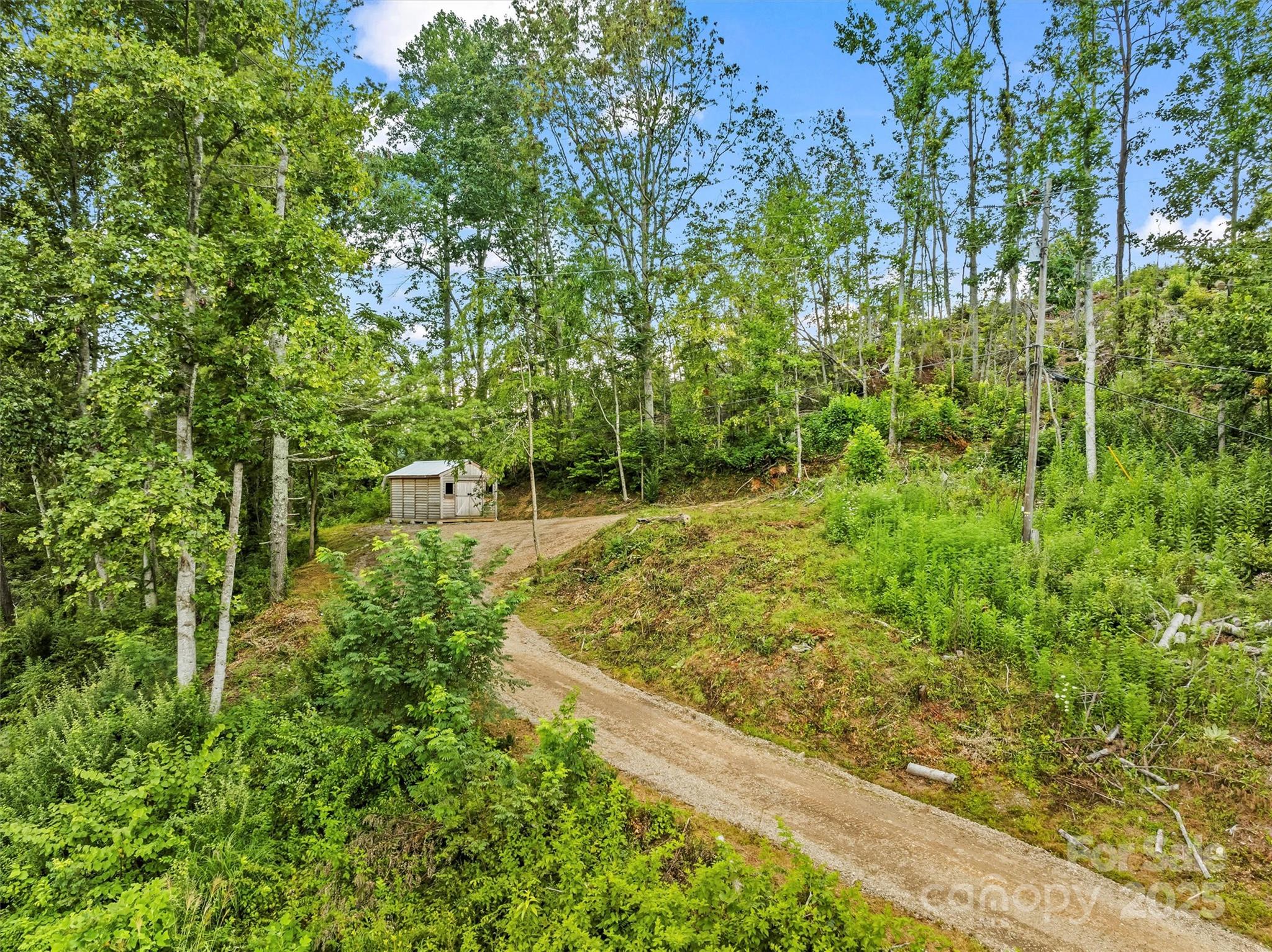 76 Ben Owenby Road Fairview, NC 28730 - Photo 2 of 14 a view of a garden with plants
