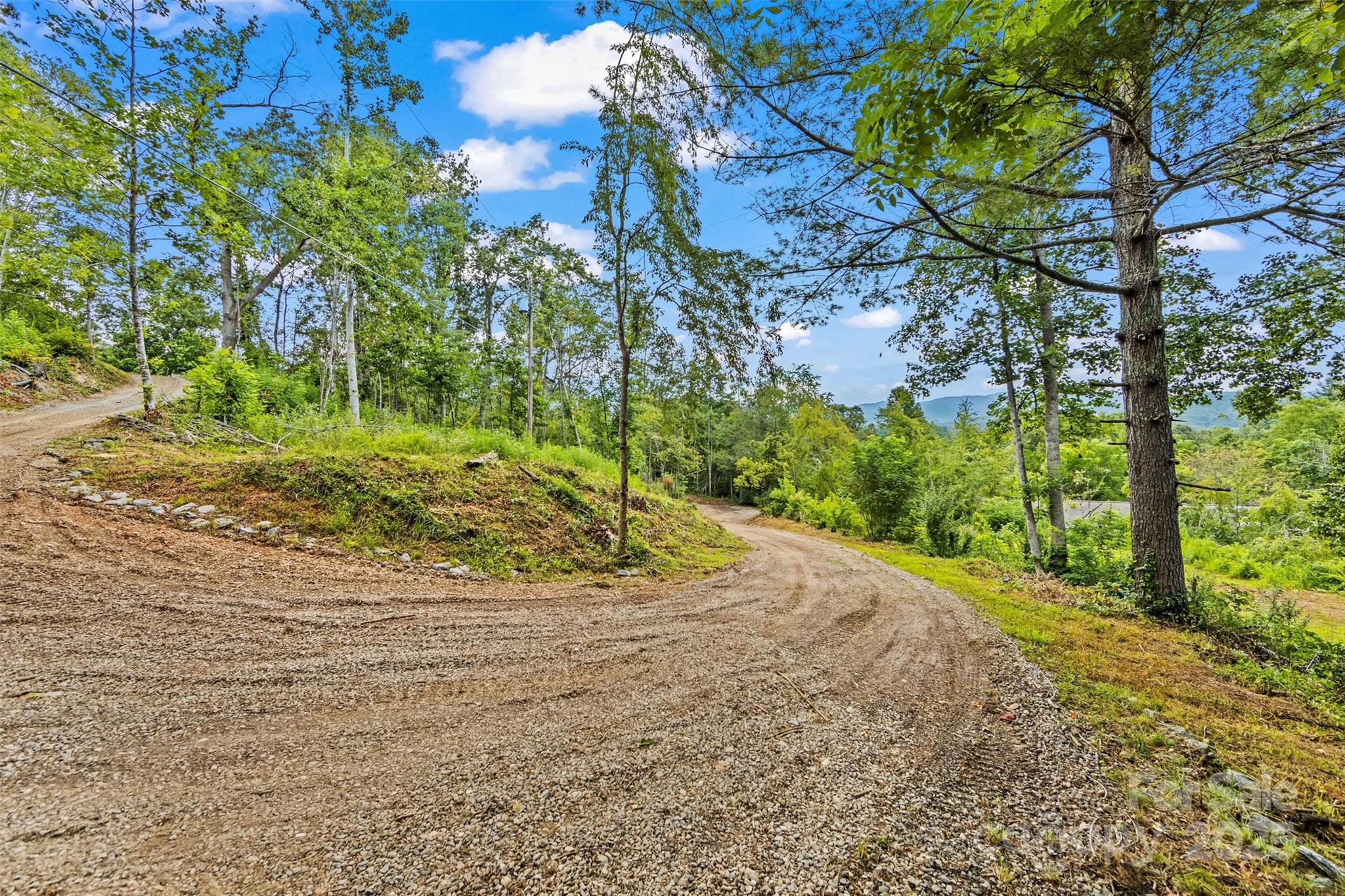 76 Ben Owenby Road Fairview, NC 28730 - Photo 3 of 14 a view of a yard with plants and trees