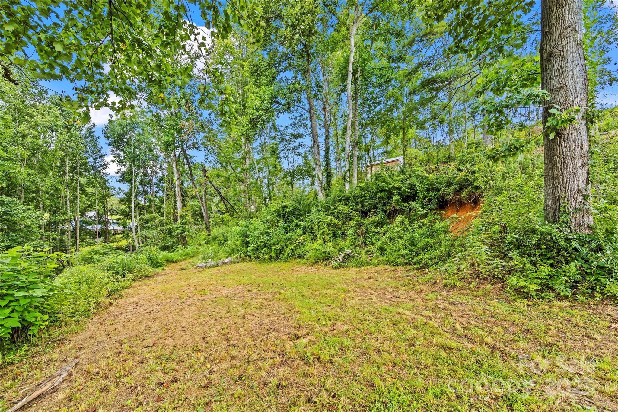 76 Ben Owenby Road Fairview, NC 28730 - Photo 9 of 14 a view of yard with green space
