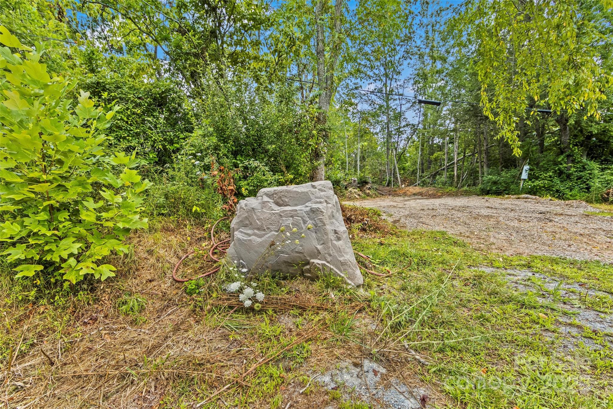 76 Ben Owenby Road Fairview, NC 28730 - Photo 10 of 14 a fire hydrant in the middle of a field