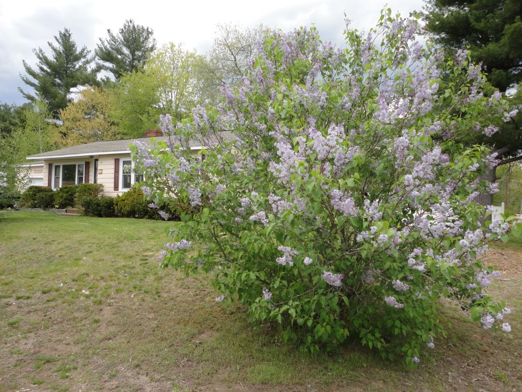 11 Schley Street Rochester, NH 03867 - Photo 3 of 24