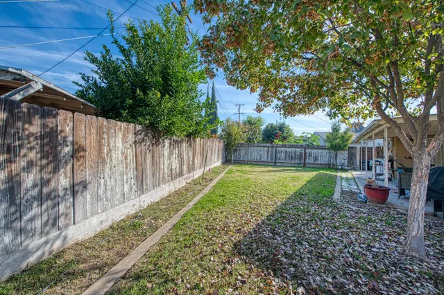 a view of a backyard with a tree
