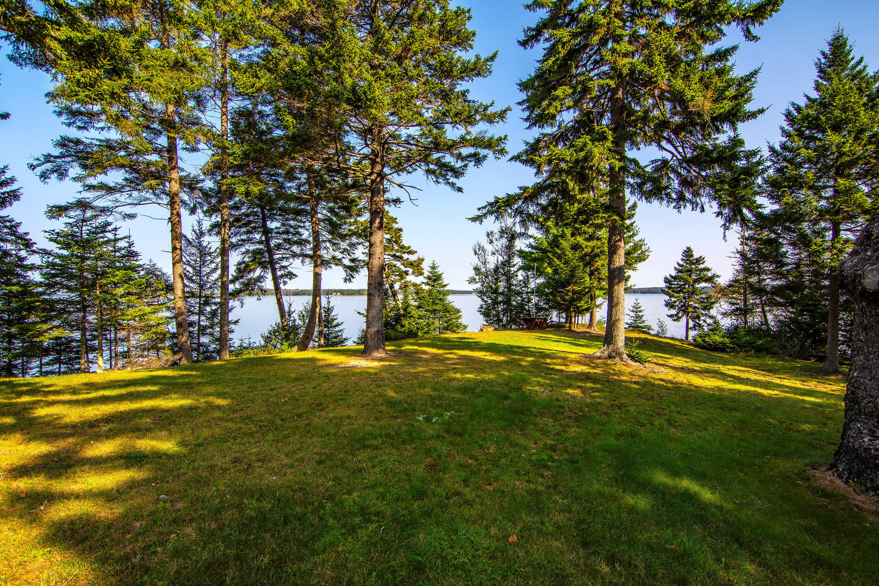 635 Paul Bunyan Road Corea, ME 04624 - Photo 26 of 33 635 Paul Bunyan lawn