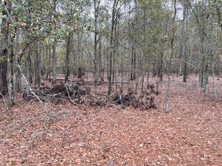 7.8-acres Deer Stand Road Wagener, SC 29164 - Photo 10 of 14
