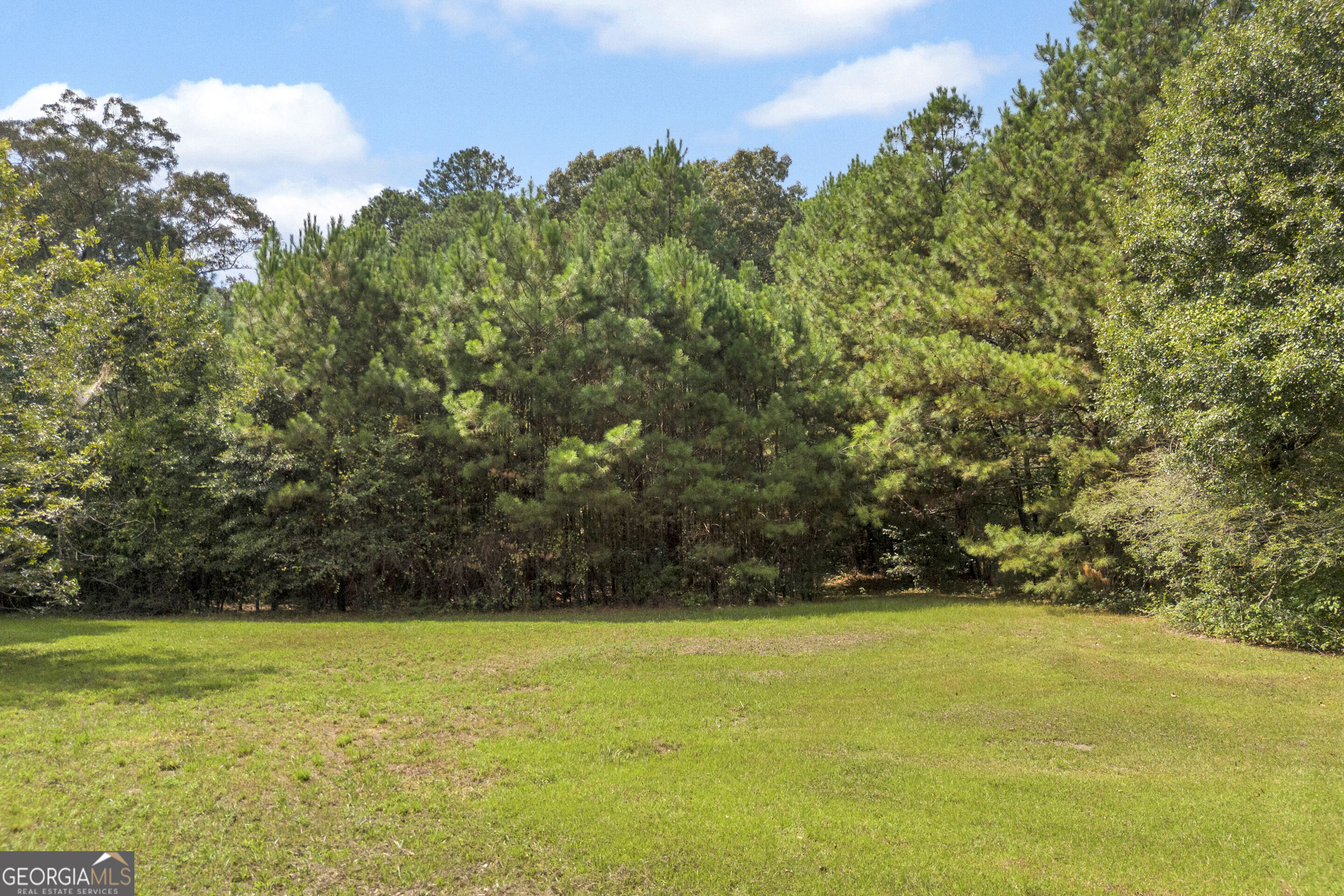 3919 McCullers Road Loganville, GA 30052 - Photo 44 of 62 Gallery Image 44