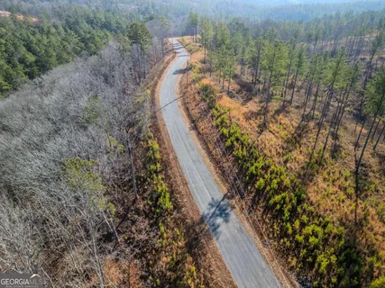 a view of a forest with a house