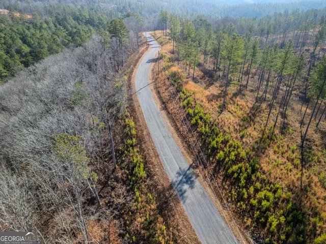 a view of a forest with a house
