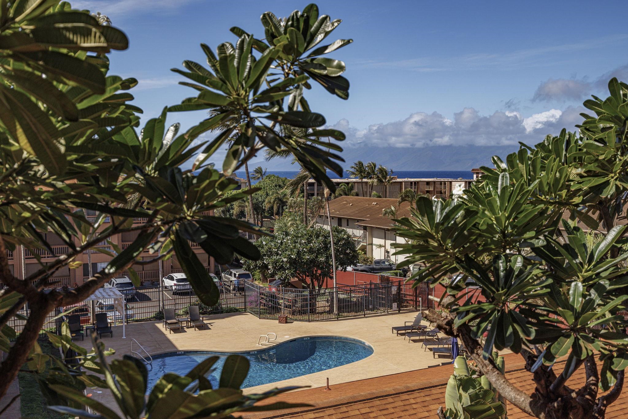 3740 Lower Honoapiilani Road, Unit C205 Lahaina, HI 96761 - Photo 28 of 28 a view of a backyard with plants and a patio