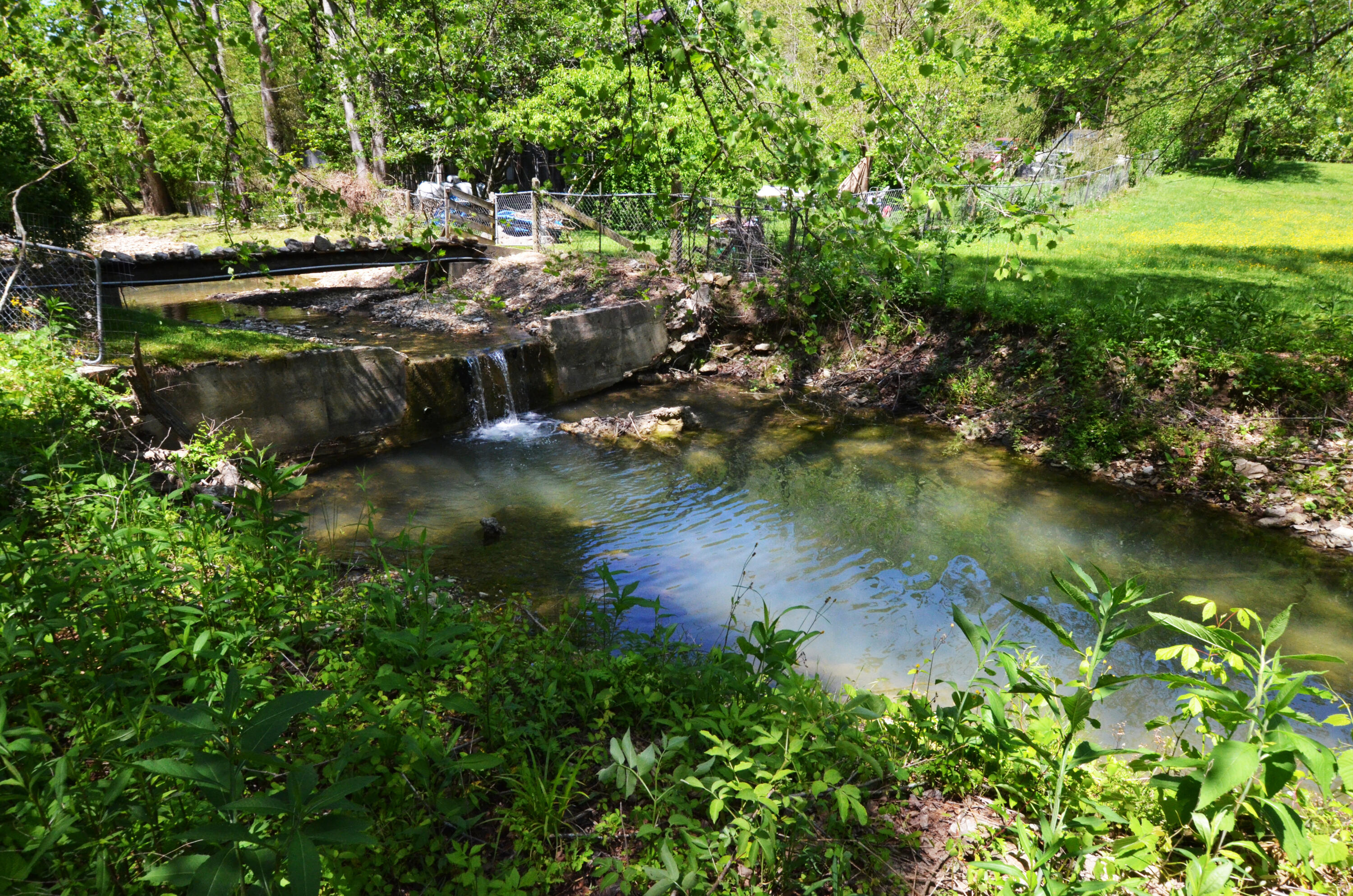 3425 Fitchburg Road Ravenna, KY 40472 - Photo 5 of 76 Waterfall!