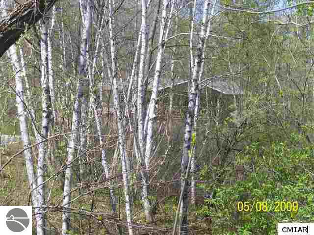 9150 Lydell Road Farwell, MI 48622 - Photo 9 of 9 1771639-8.JPG