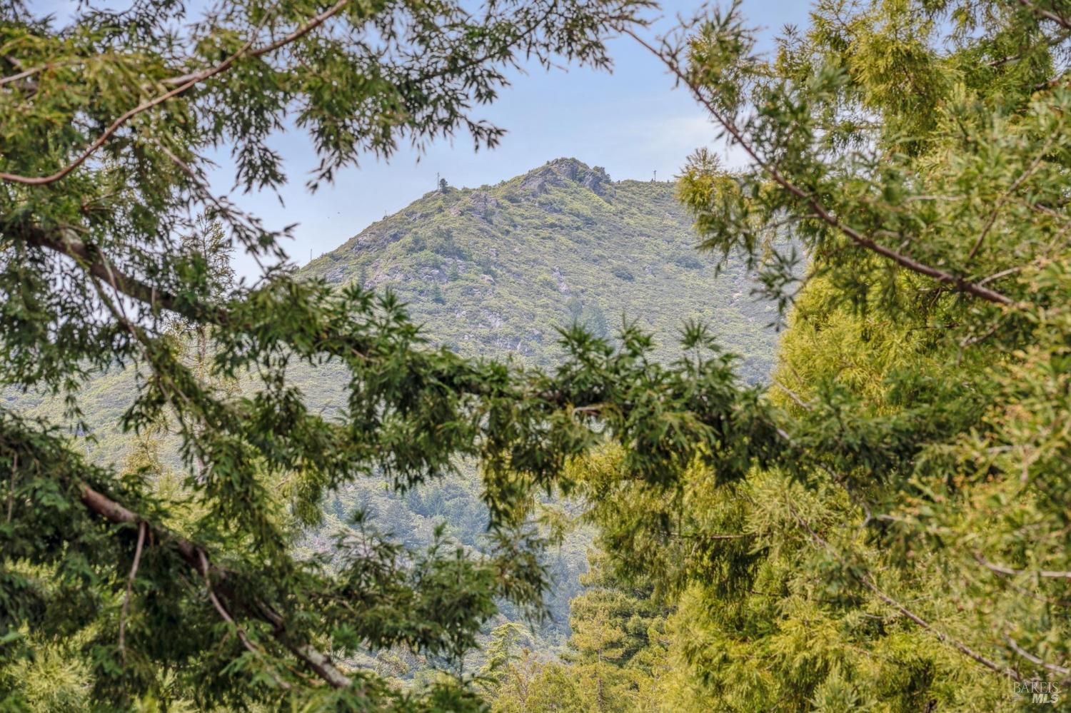 402 Eldridge Avenue Mill Valley, CA 94941 - Photo 31 of 49 a view of a dry yard with lots of bushes
