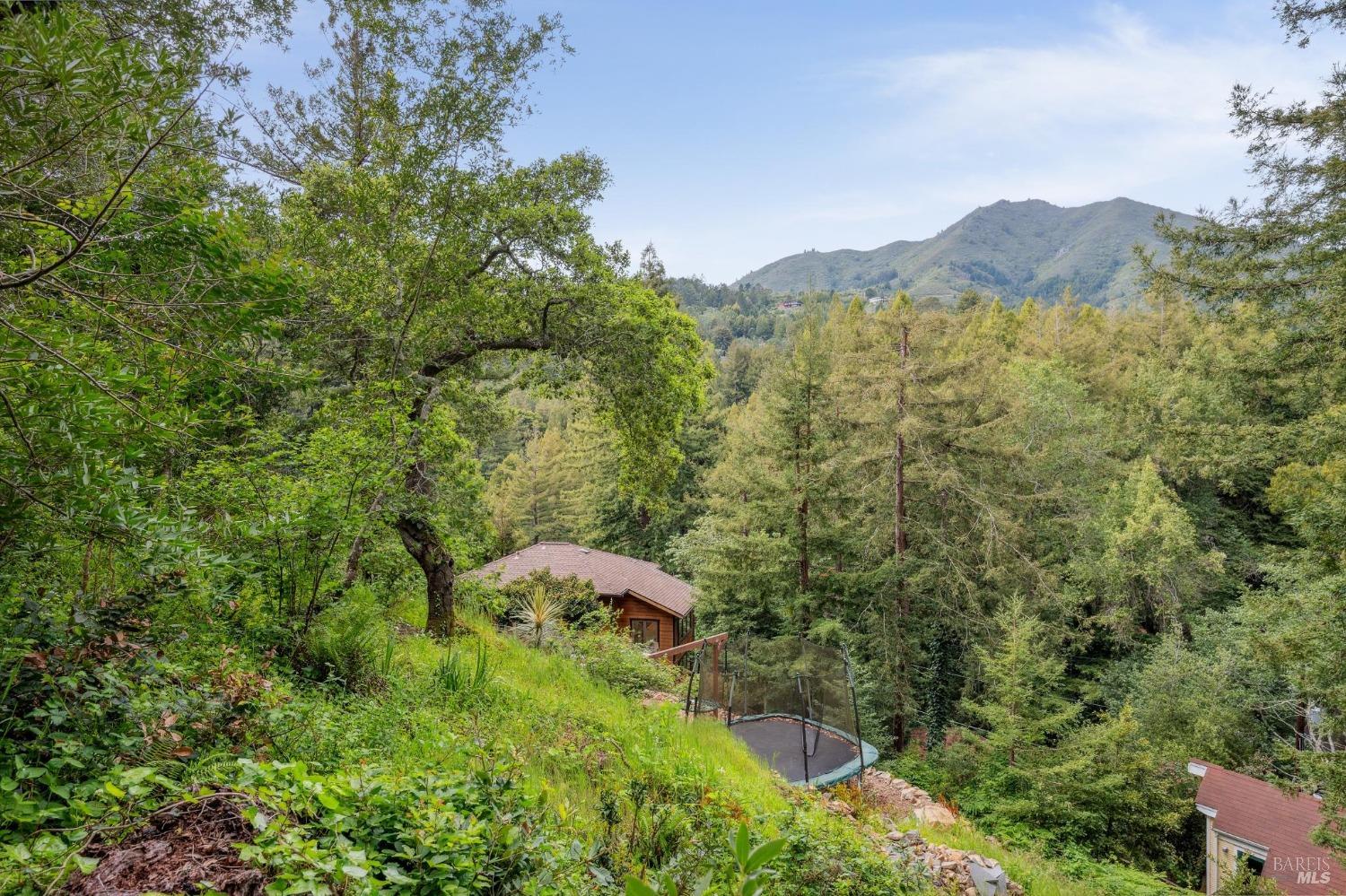 402 Eldridge Avenue Mill Valley, CA 94941 - Photo 45 of 49 a view of a lush green forest with a mountain