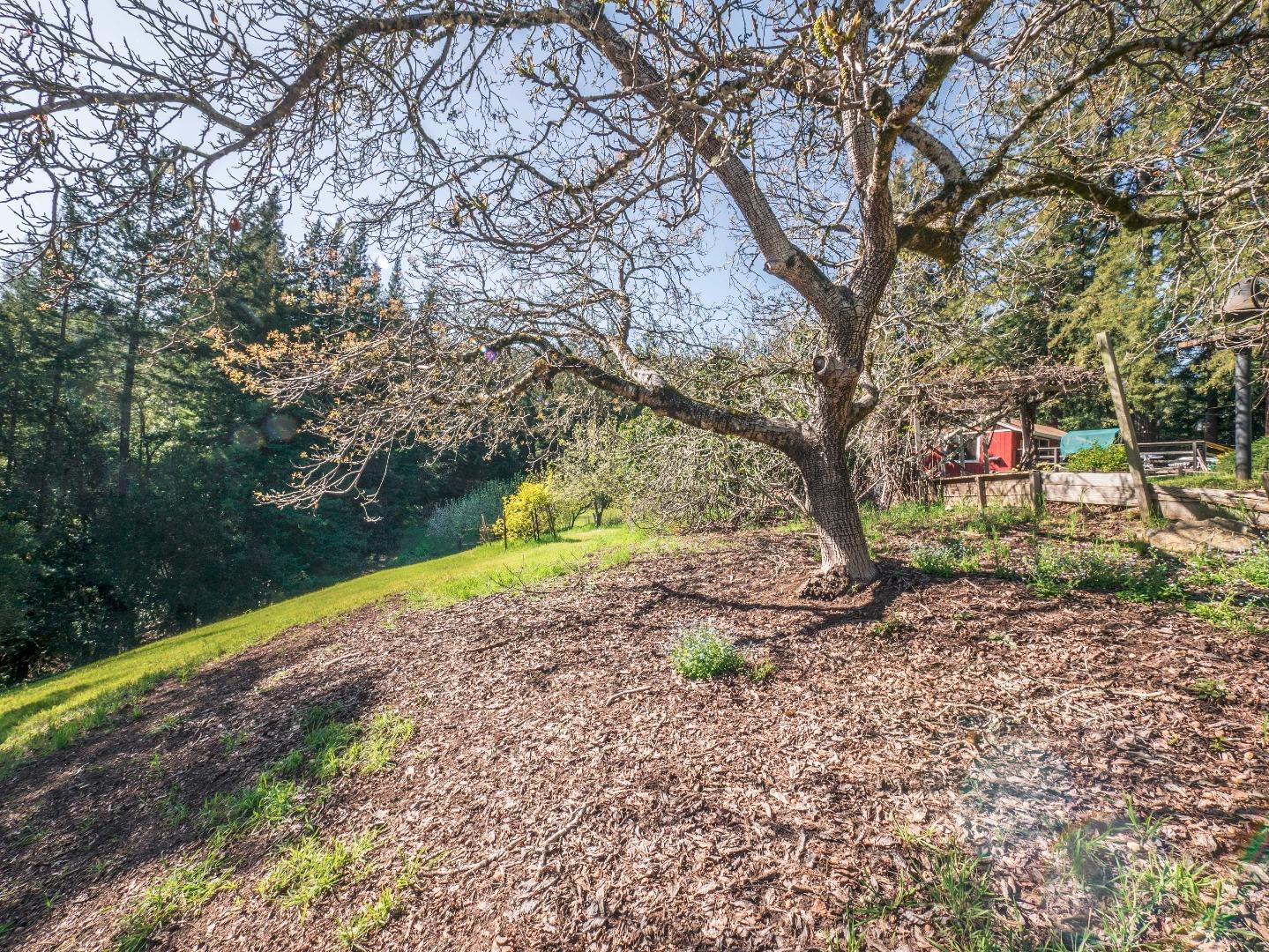 1518 Tindall Ranch Road Corralitos, CA 95076 - Photo 60 of 80 Gallery Image 60