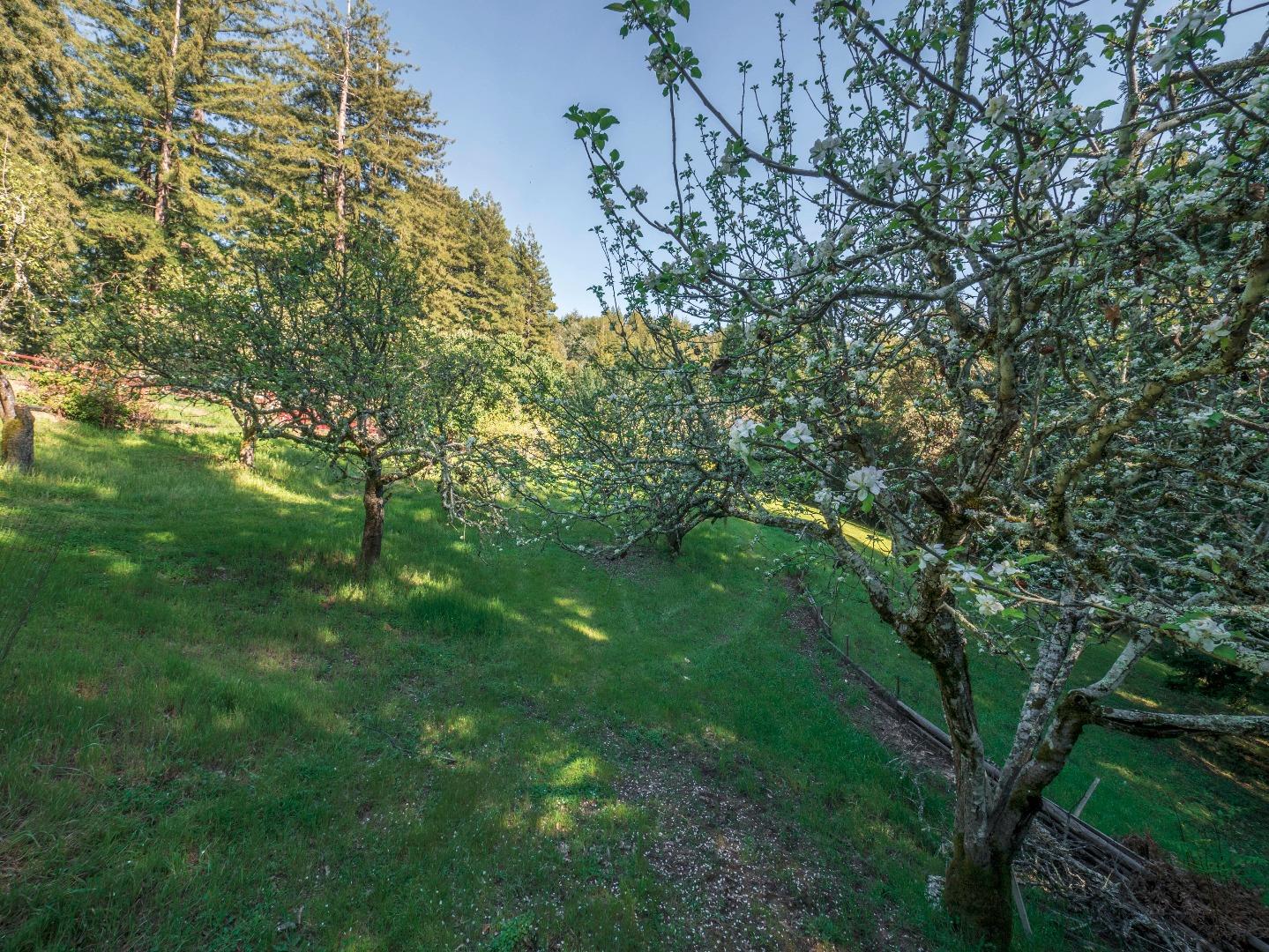 1518 Tindall Ranch Road Corralitos, CA 95076 - Photo 63 of 80 Gallery Image 63