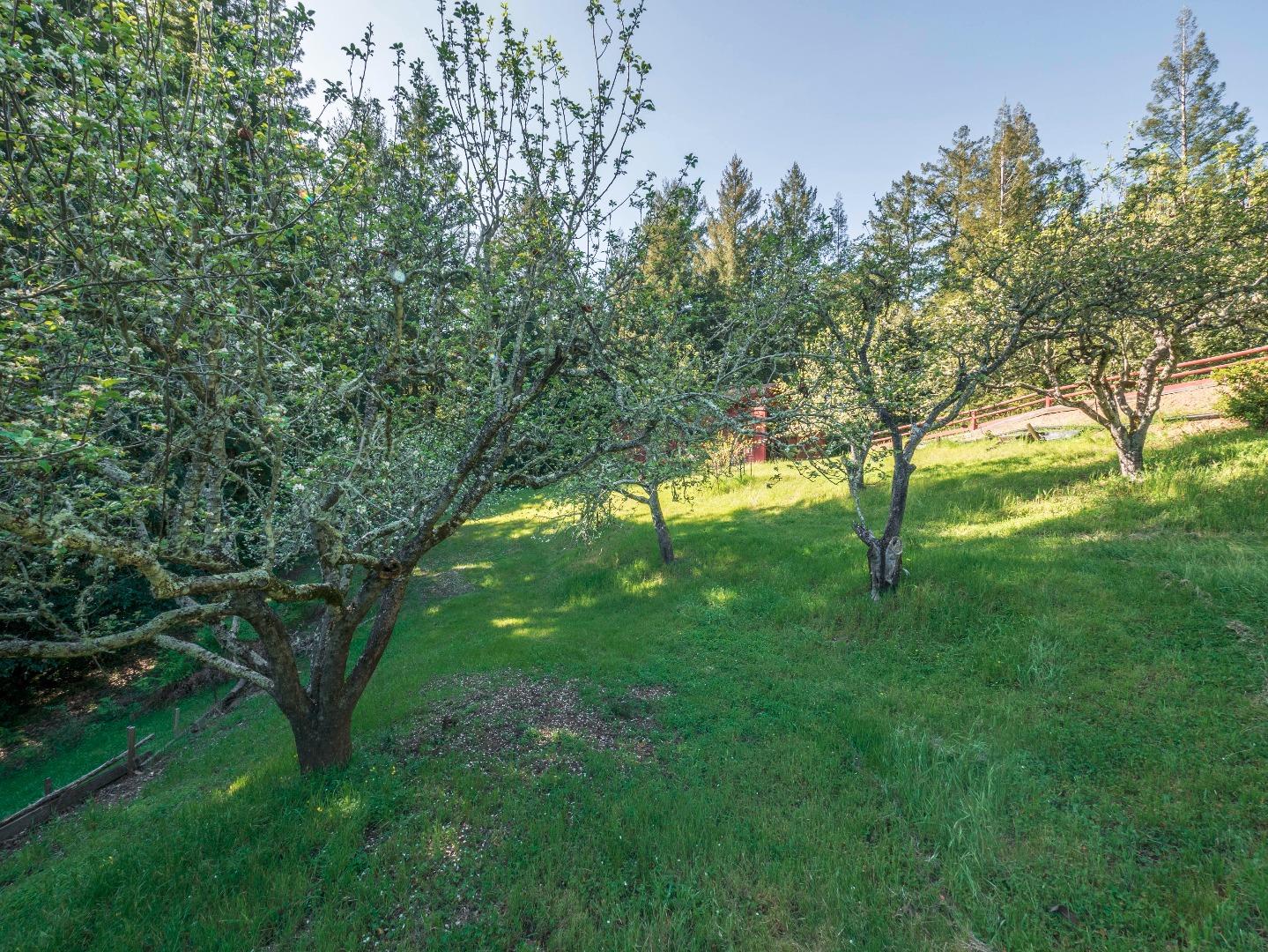 1518 Tindall Ranch Road Corralitos, CA 95076 - Photo 64 of 80 Gallery Image 64
