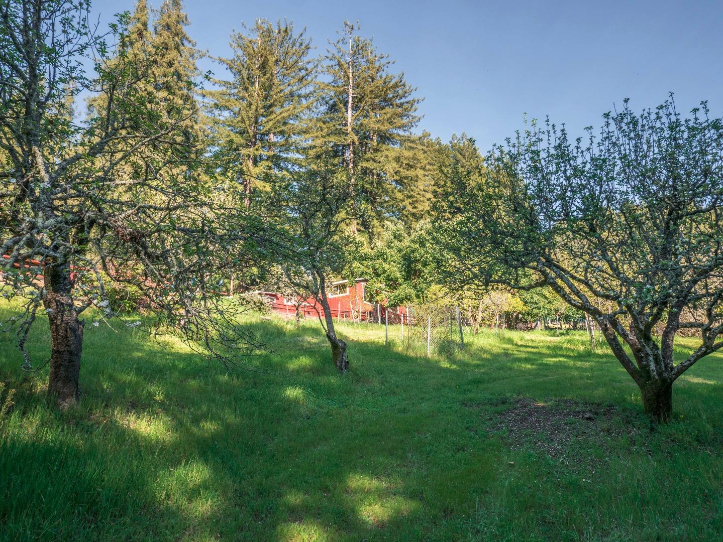 1518 Tindall Ranch Road Corralitos, CA 95076 - Photo 66 of 80 Gallery Image 66