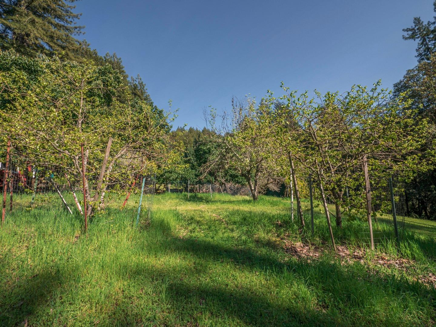 1518 Tindall Ranch Road Corralitos, CA 95076 - Photo 69 of 80 Gallery Image 69