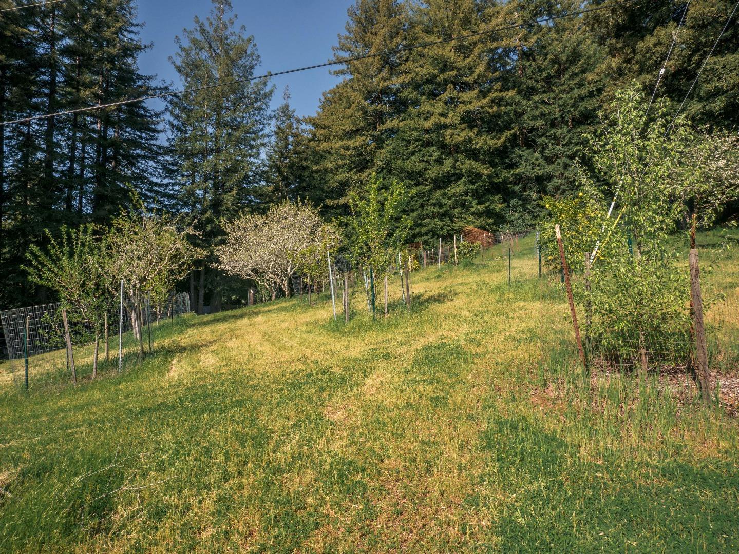 1518 Tindall Ranch Road Corralitos, CA 95076 - Photo 71 of 80 Gallery Image 71