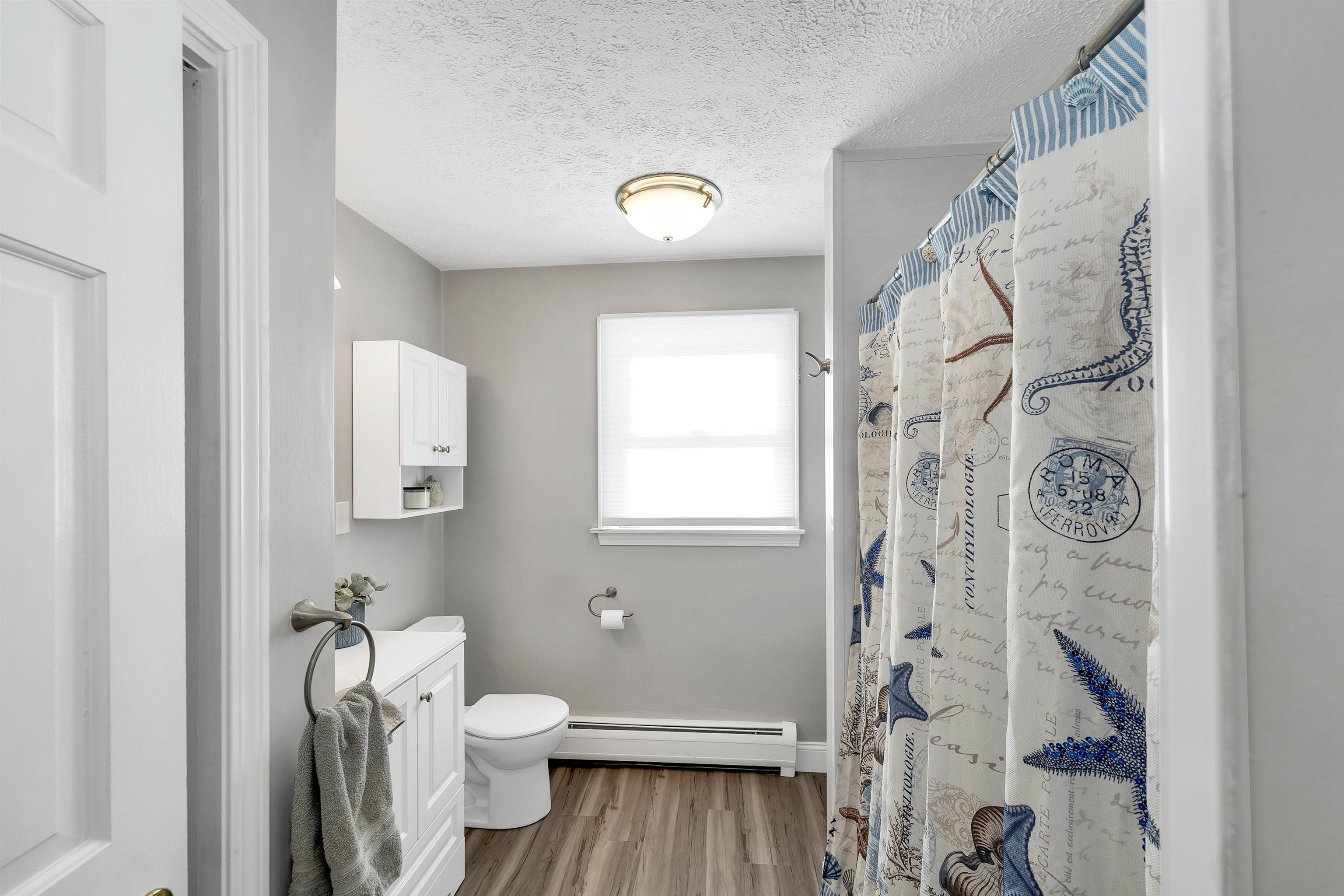 118 Douglas Drive Candia, NH 03034 - Photo 18 of 43