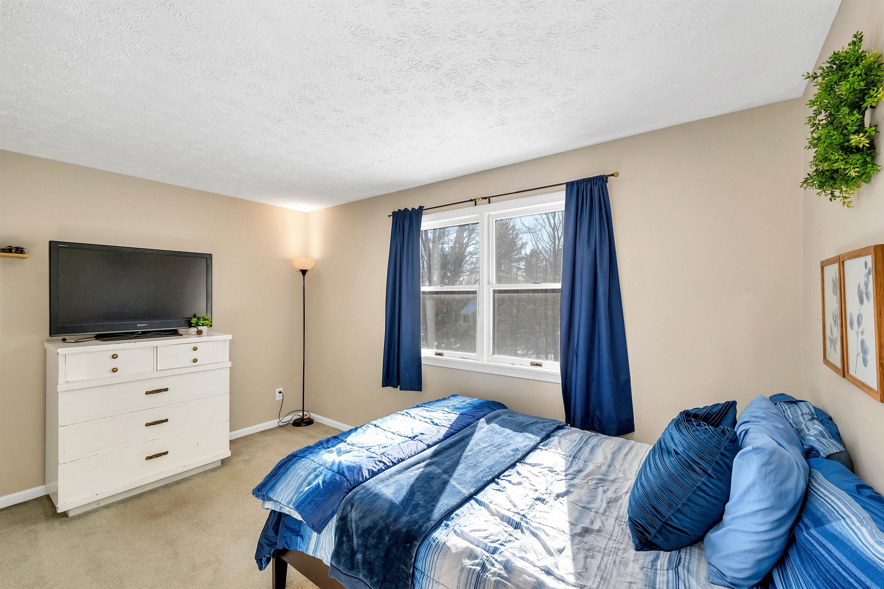 118 Douglas Drive Candia, NH 03034 - Photo 22 of 43