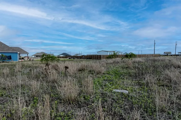 a view of a field of grass and trees