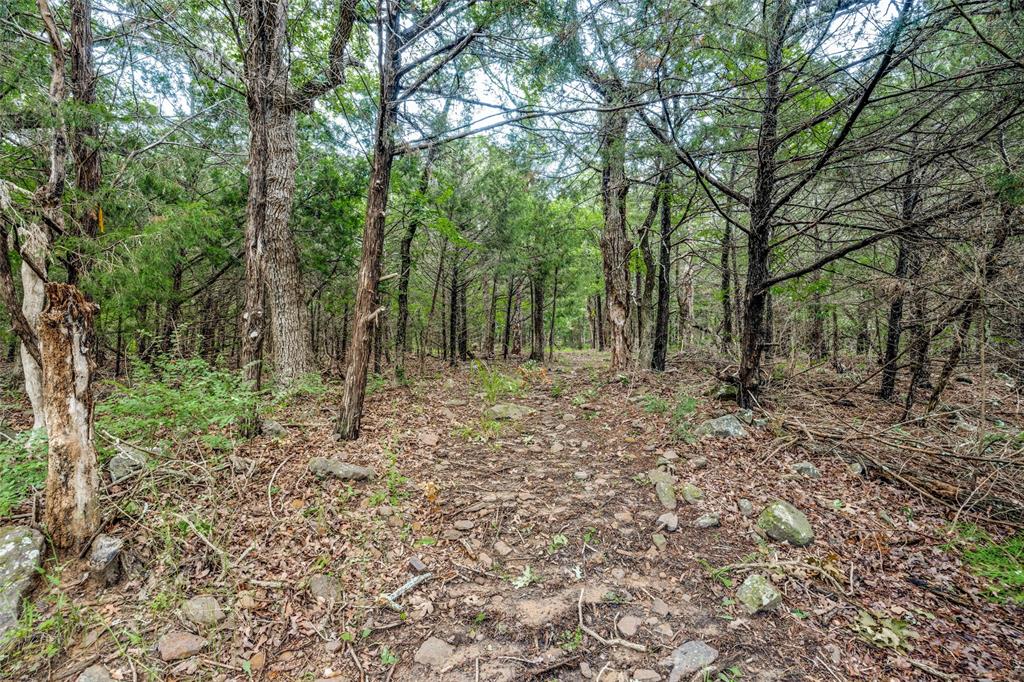 2383 Blanks Road Tioga, TX 76271 - Photo 23 of 24