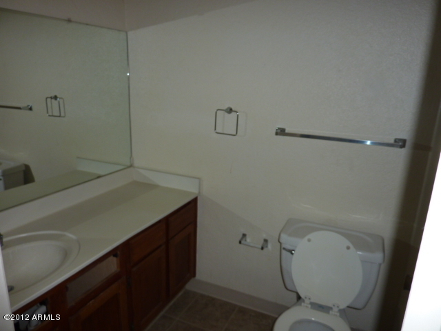 747 South Ext Road, Unit 206 Mesa, AZ 85210 - Photo 4 of 10 Bathroom