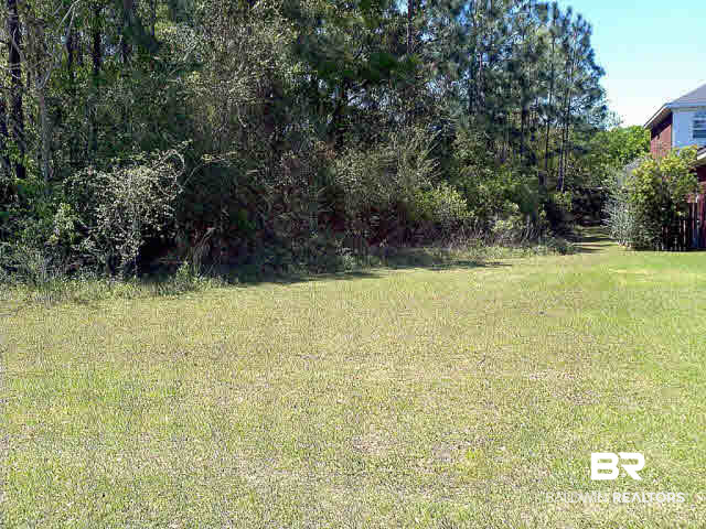 0 Pebble Creek Drive Mobile, AL 36695 - Photo 4 of 6