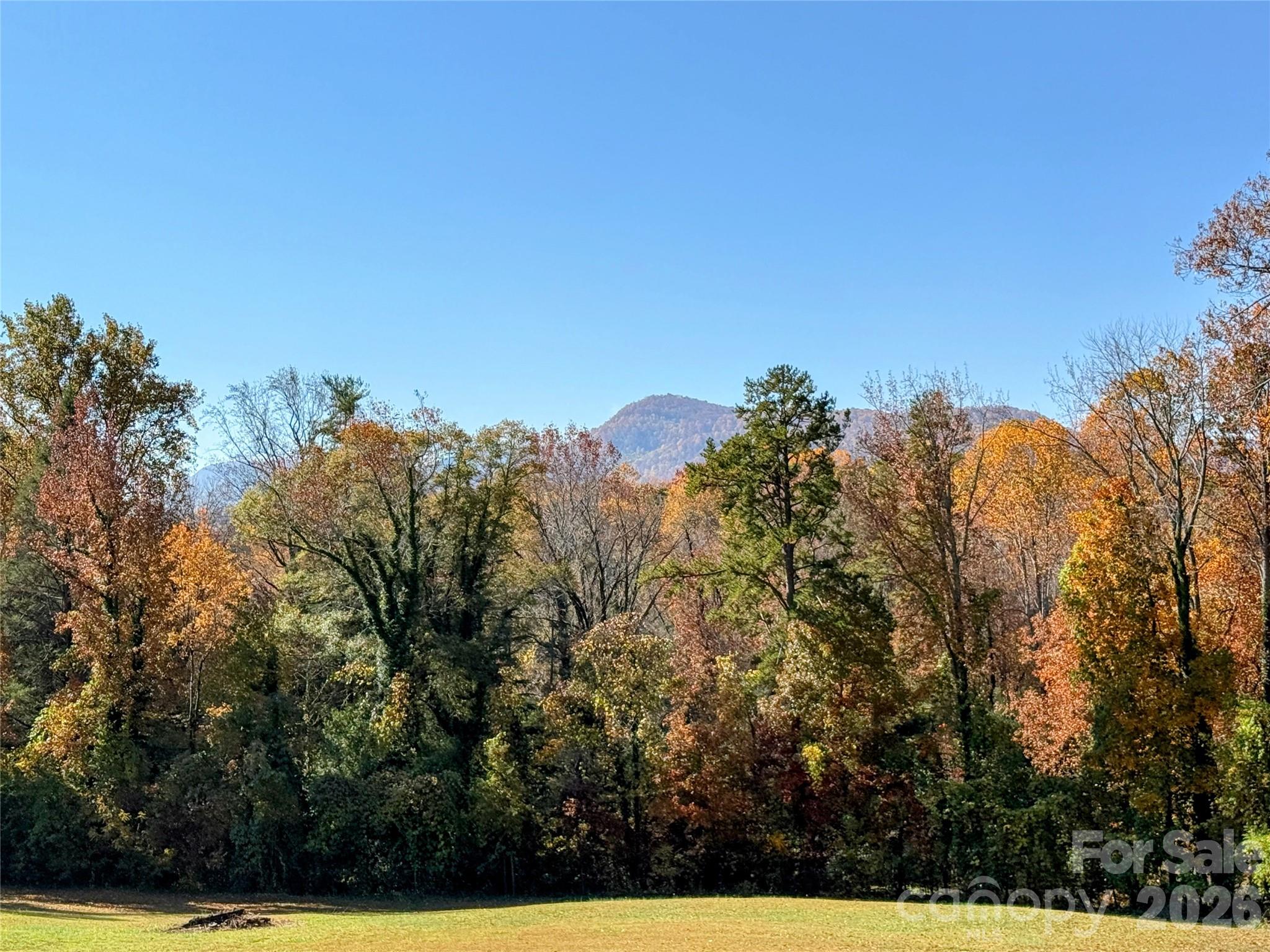 979 Howard Gap Road Tryon, NC 28782 - Photo 14 of 19