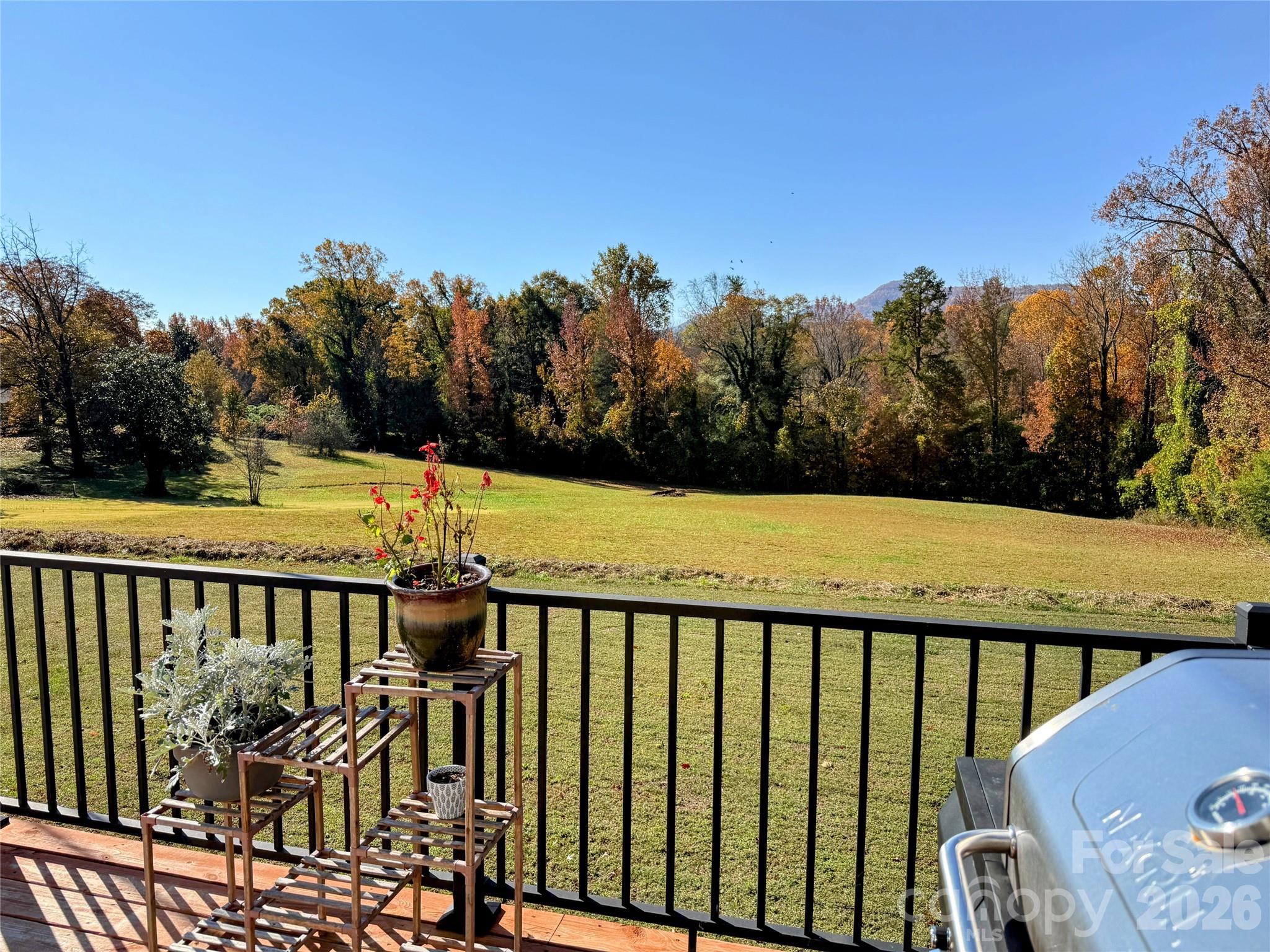 979 Howard Gap Road Tryon, NC 28782 - Photo 18 of 19