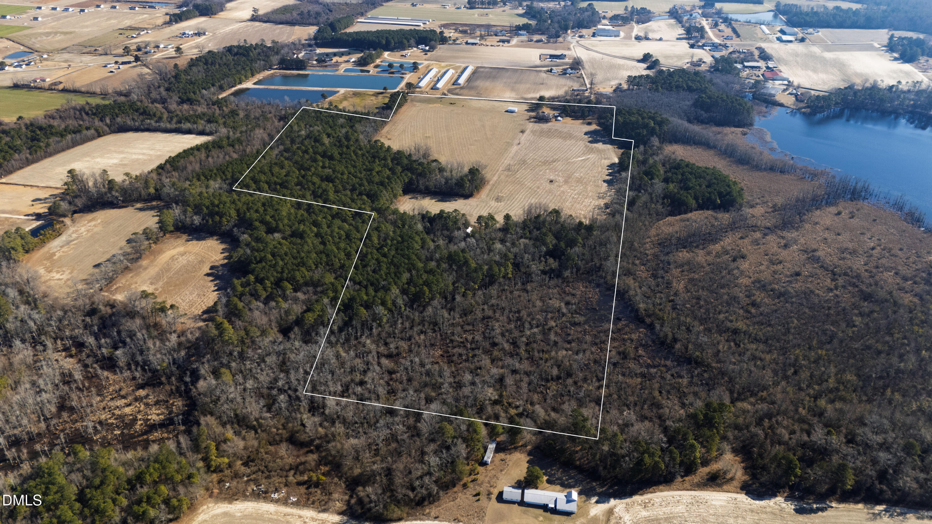 5964 Godwin Lake Road Dunn, NC 28334 - Photo 56 of 60 70 +/- Acres