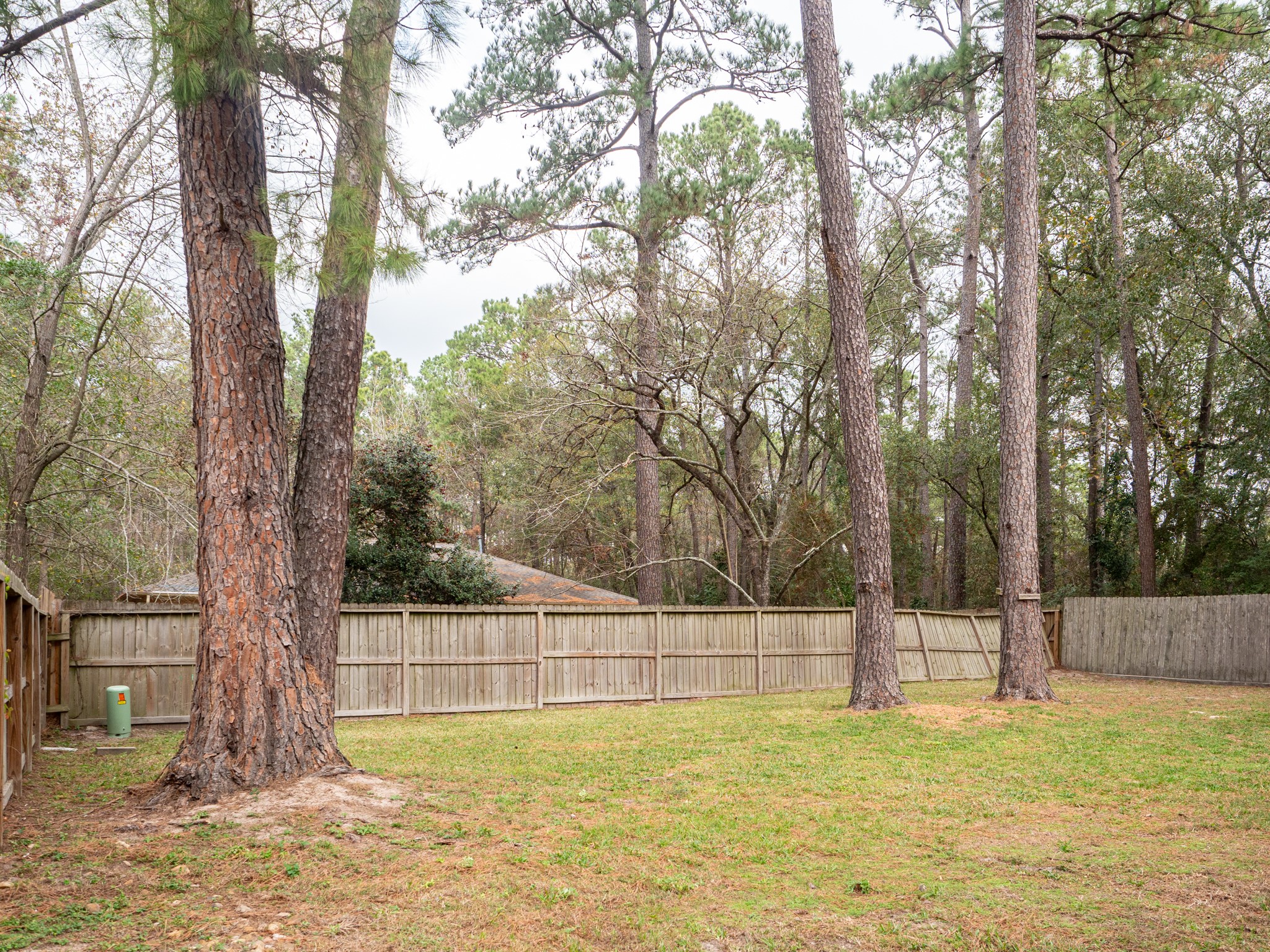 3302 Willie Way Spring, TX 77380 - Photo 24 of 28