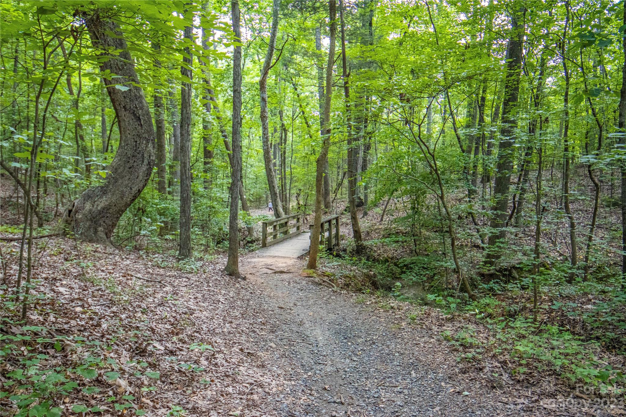 882 Promenade Walk Fort Mill, SC 29708 - Photo 44 of 48 a view of outdoor space and green space