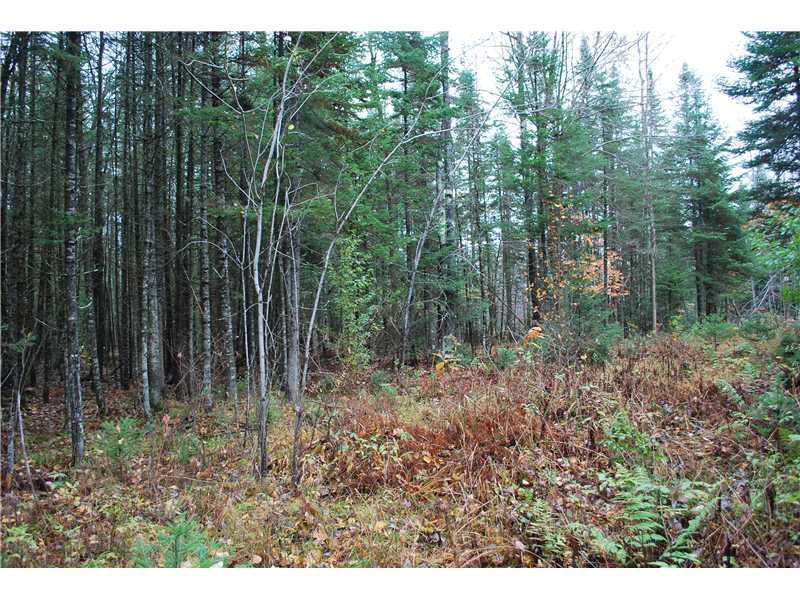 Lot 7 Higgins Road Pittsfield, ME 04967 - Photo 5 of 6 Land.